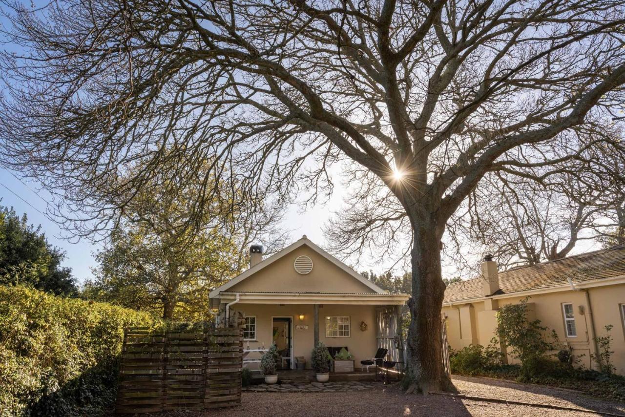 Belfield Wines And Farm Cottages Grabouw Exterior photo