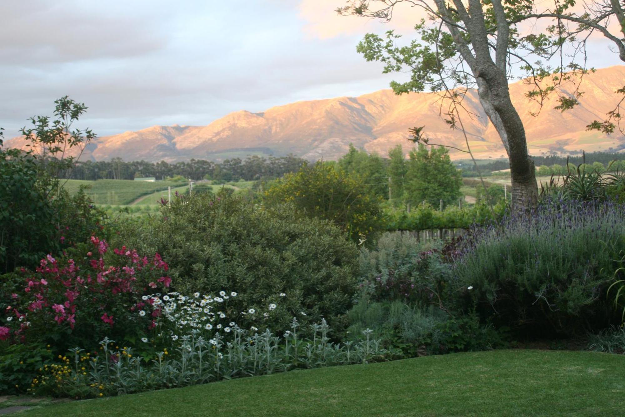 Belfield Wines And Farm Cottages Grabouw Exterior photo