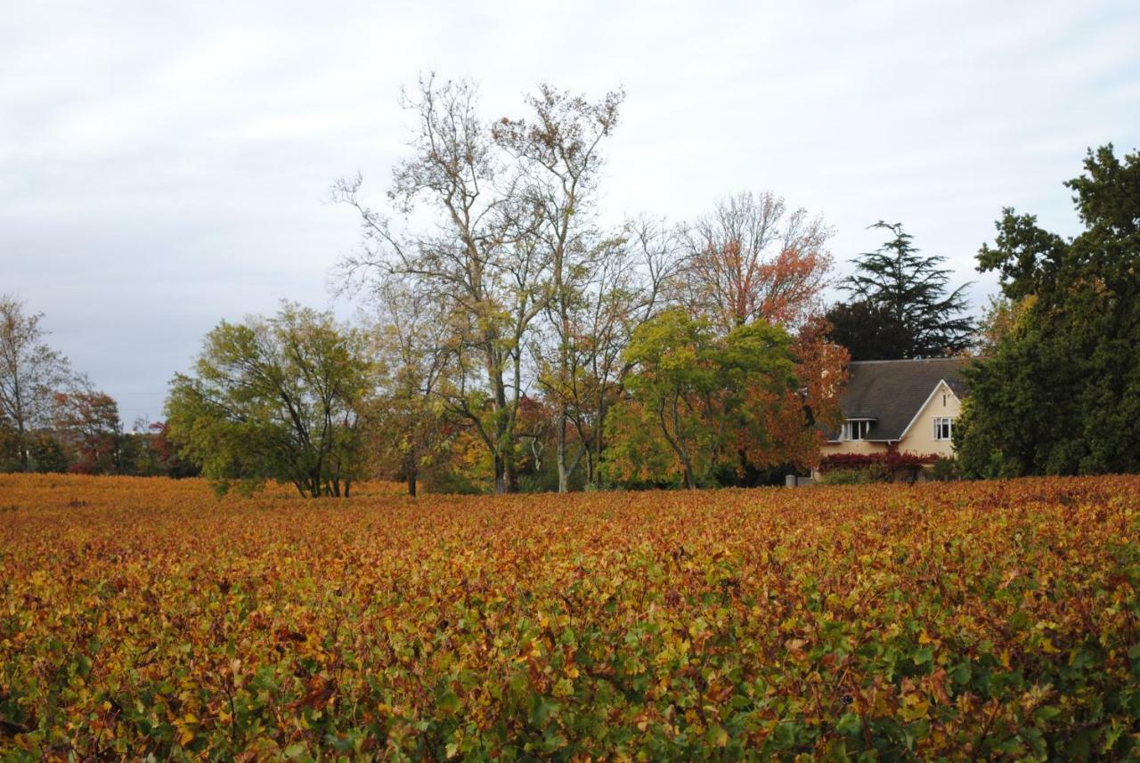 Belfield Wines And Farm Cottages Grabouw Exterior photo