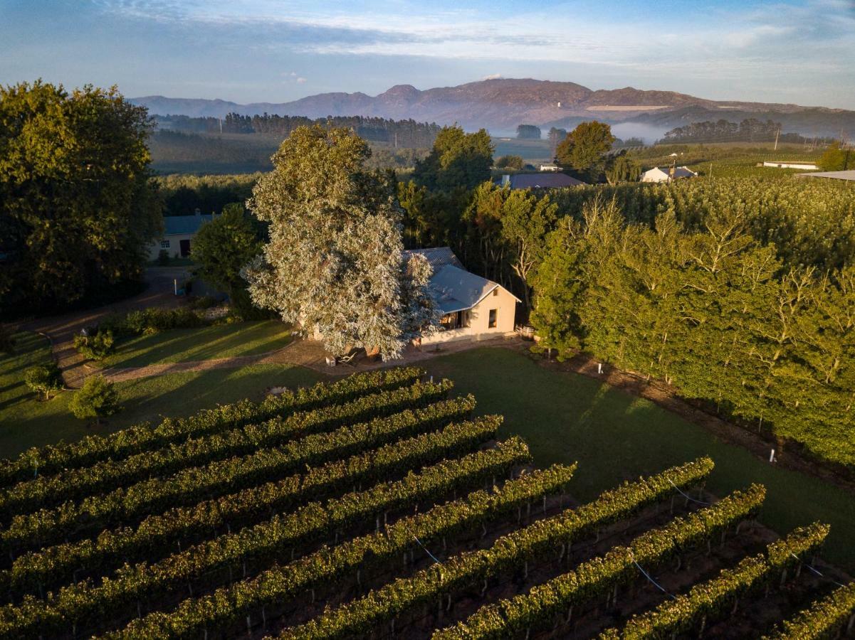 Belfield Wines And Farm Cottages Grabouw Exterior photo